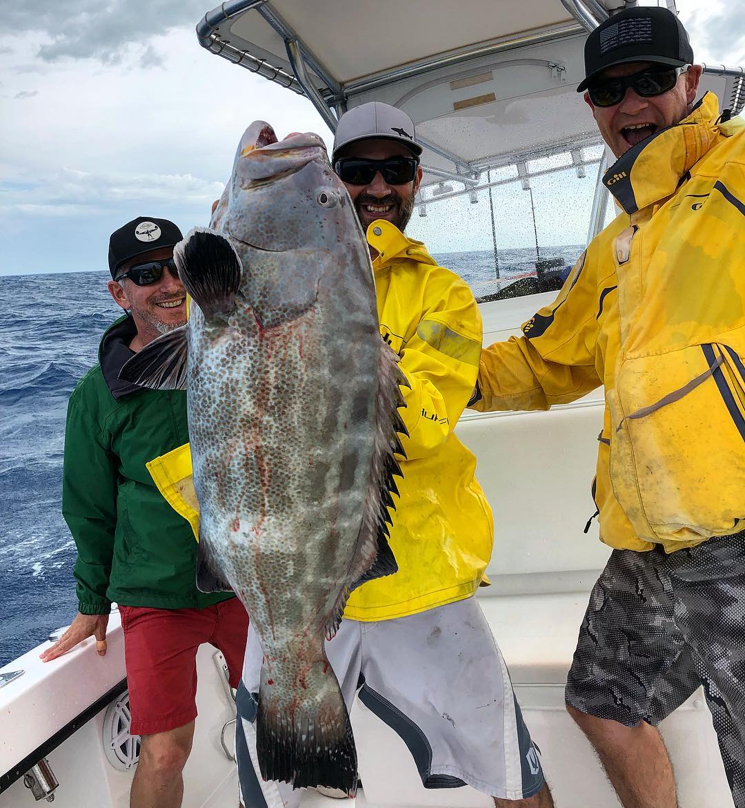 Black Grouper Caught In Key West