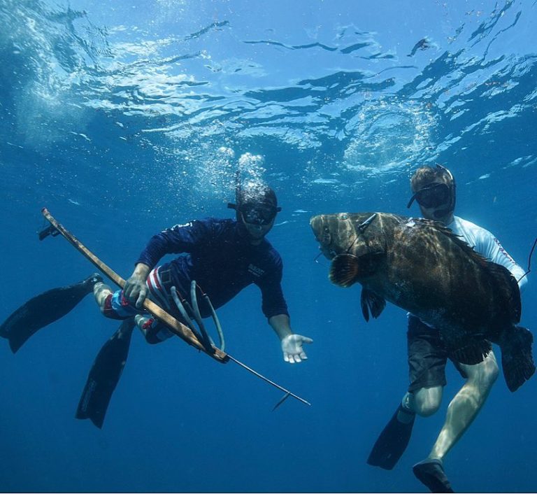 Grouper Spearfishing Trip In Key West - Key West Fishing Charters | Far ...